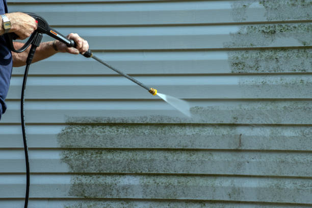 Best Fence Pressure Washing  in Weedpatch, CA
