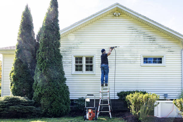 Best Fence Pressure Washing  in Weedpatch, CA